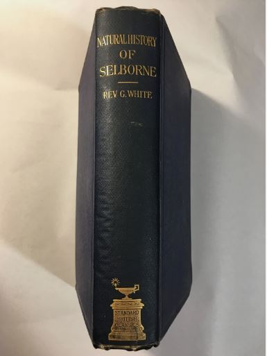 The Natural History of Selborne Gilbert White 1890 Gibbings