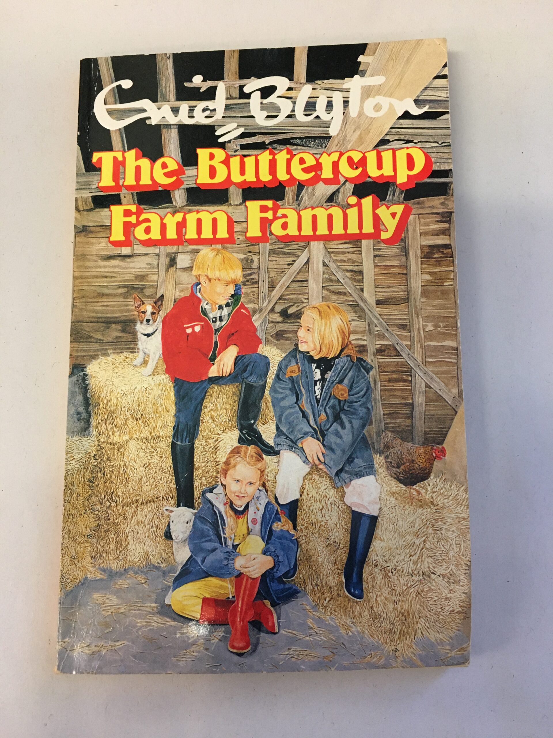 Enid Blyton book The Buttercup Farm Family.