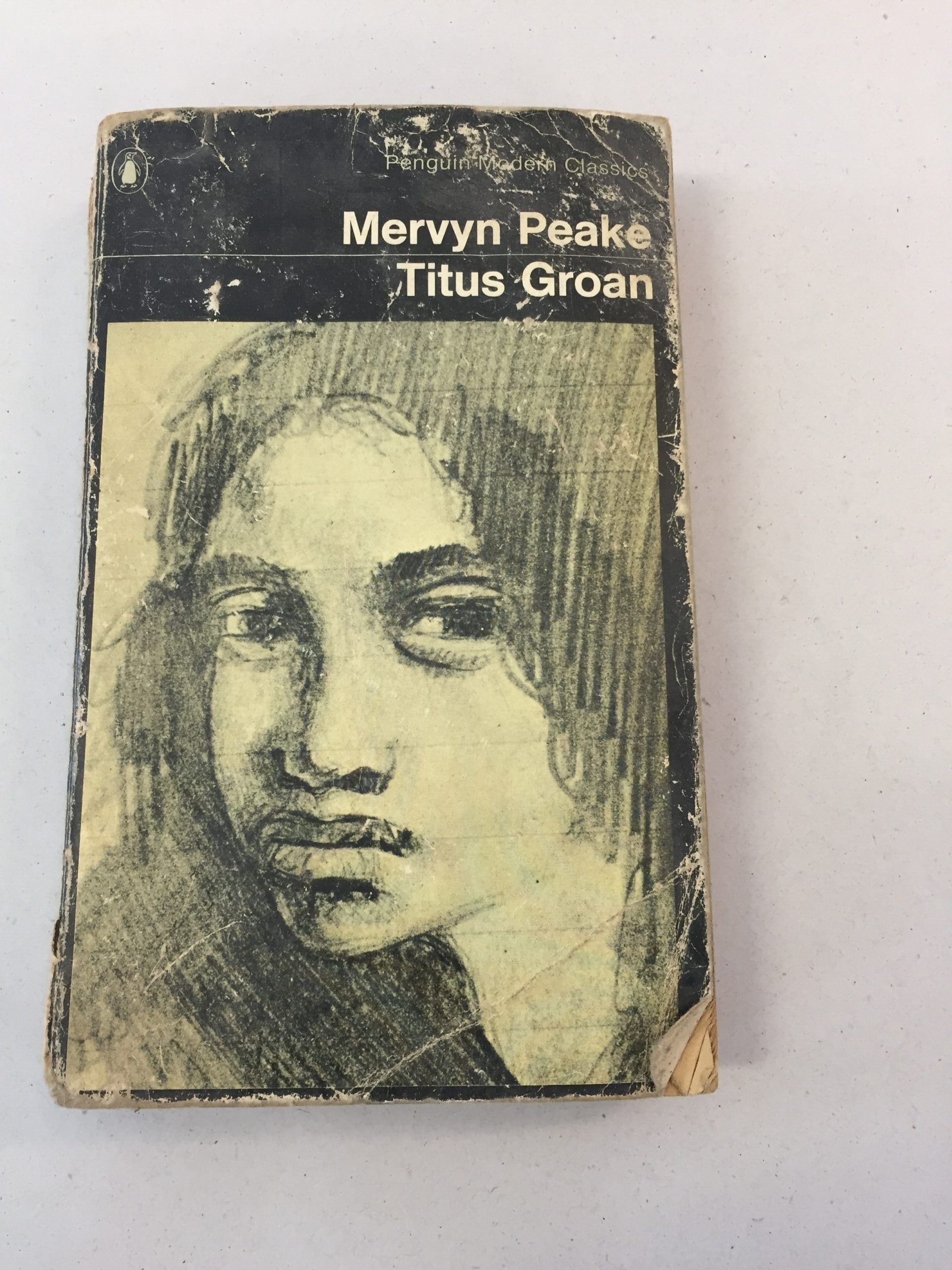 Titus Groan by Mervyn Peake, published in the Penguin Modern Classics series