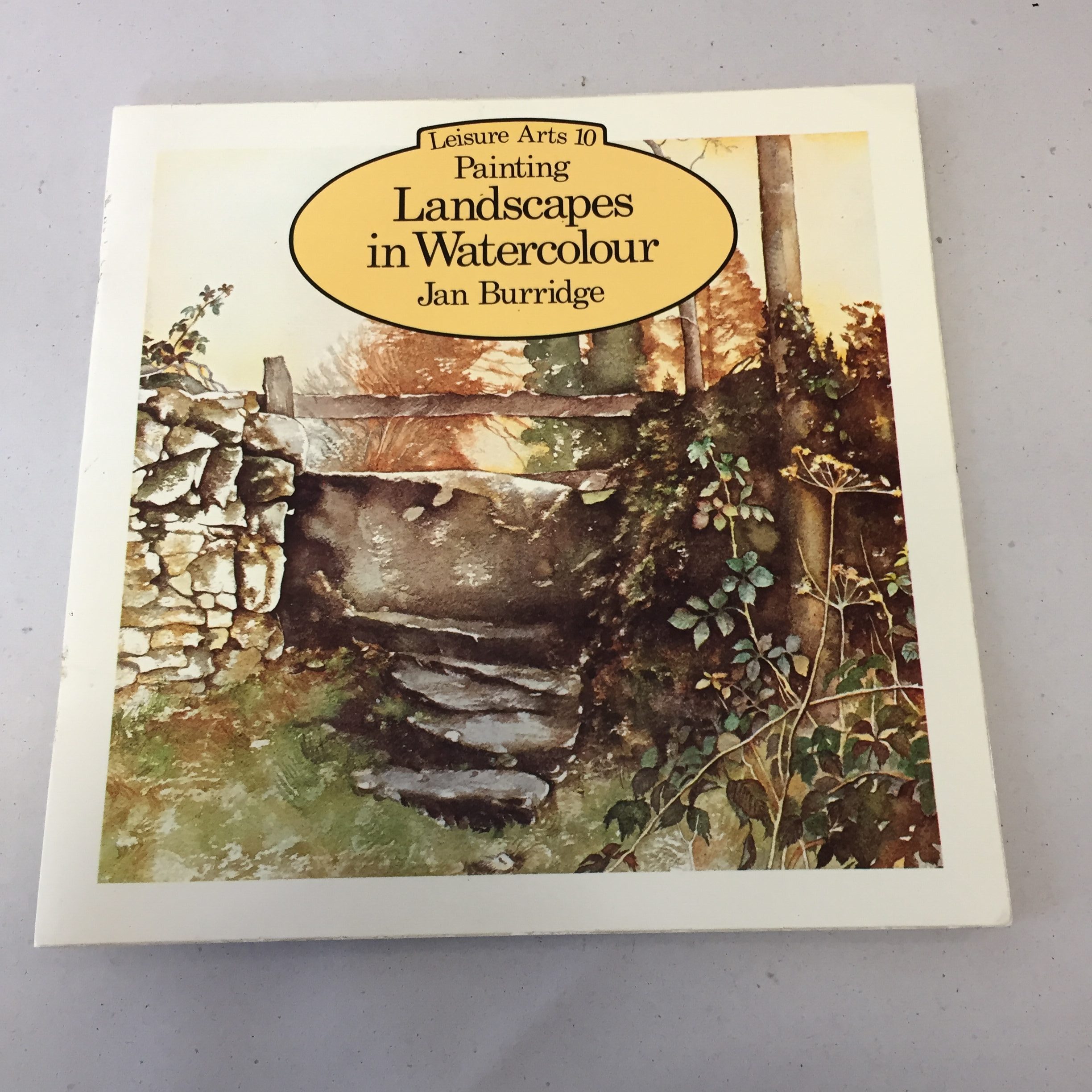 Painting Landscapes in Watercolour (Leisure Arts 10) by Jan Burridge