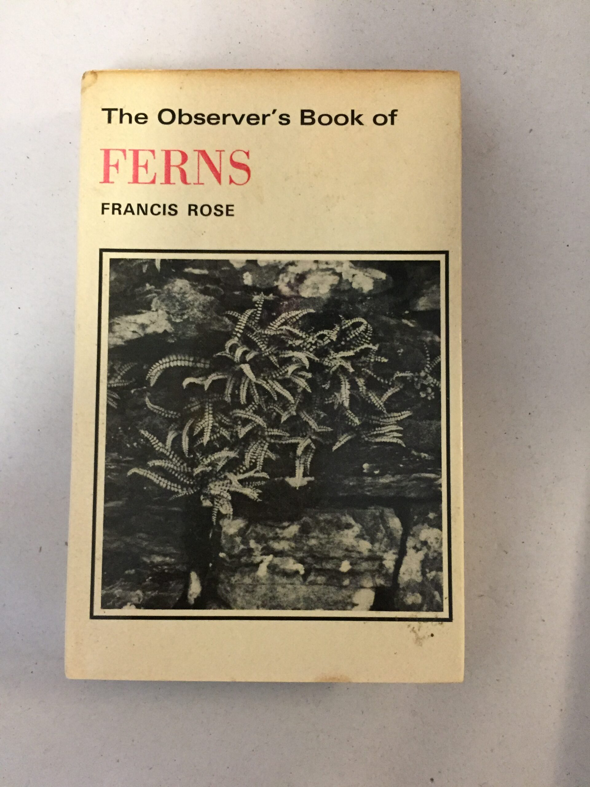 The Observer’s Book of Ferns 1966 (No. 12 in the series), revised by Francis Rose and originally compiled by W.J. Stokoe