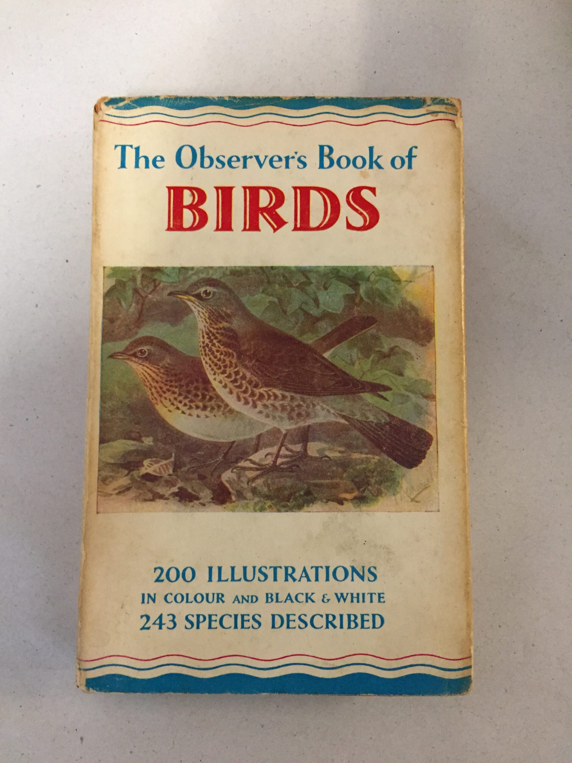The Observer's Book of Birds 1966 by S. Vere Benson, published by Frederick Warne & Co